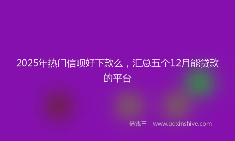 2025年热门信呗好下款么，汇总五个12月能贷款的平台