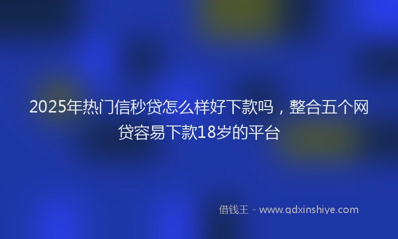 2025年热门信秒贷怎么样好下款吗，整合五个网贷容易下款18岁的平台
