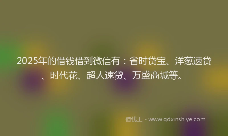 2025年的借钱借到微信有：省时贷宝、洋葱速贷、时代花、超人速贷、万盛商城等。