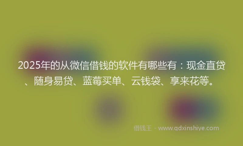 2025年的从微信借钱的软件有哪些有：现金直贷、随身易贷、蓝莓买单、云钱袋、享来花等。