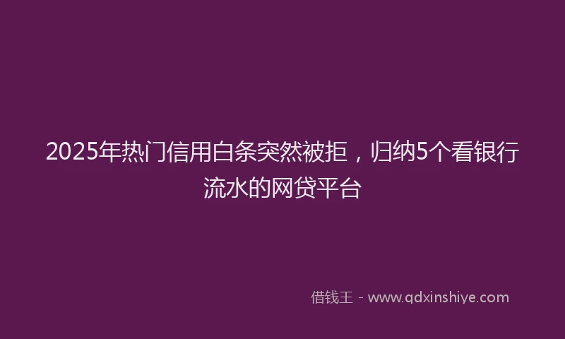 2025年热门信用白条突然被拒，归纳5个看银行流水的网贷平台