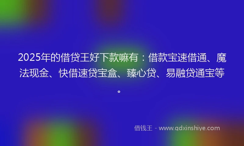 2025年的借贷王好下款嘛有：借款宝速借通、魔法现金、快借速贷宝盒、臻心贷、易融贷通宝等。