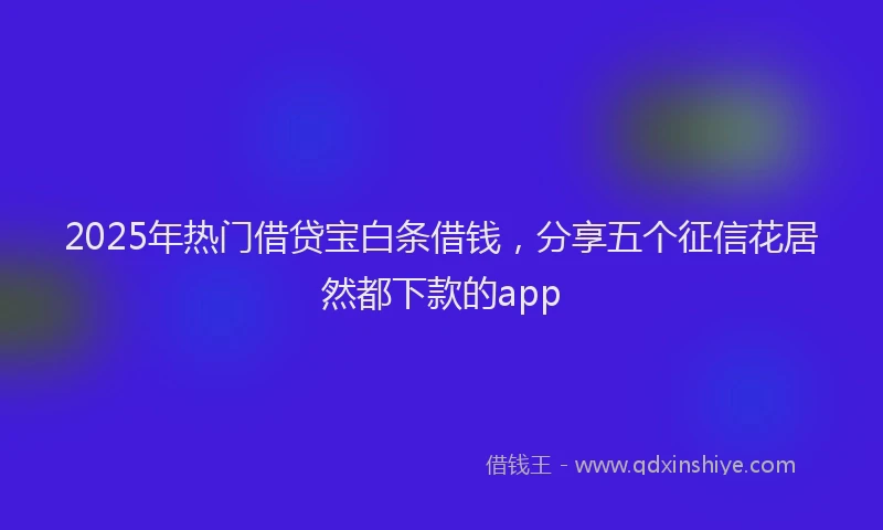 2025年热门借贷宝白条借钱，分享五个征信花居然都下款的app