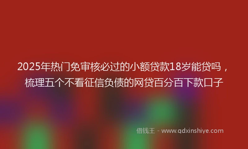 2025年热门免审核必过的小额贷款18岁能贷吗，梳理五个不看征信负债的网贷百分百下款口子