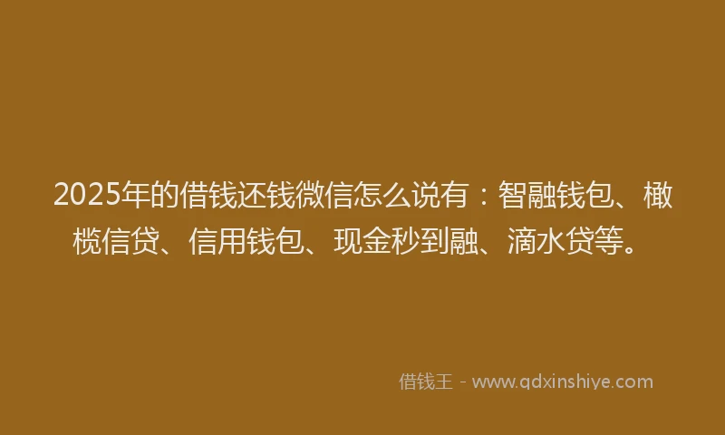 2025年的借钱还钱微信怎么说有：智融钱包、橄榄信贷、信用钱包、现金秒到融、滴水贷等。