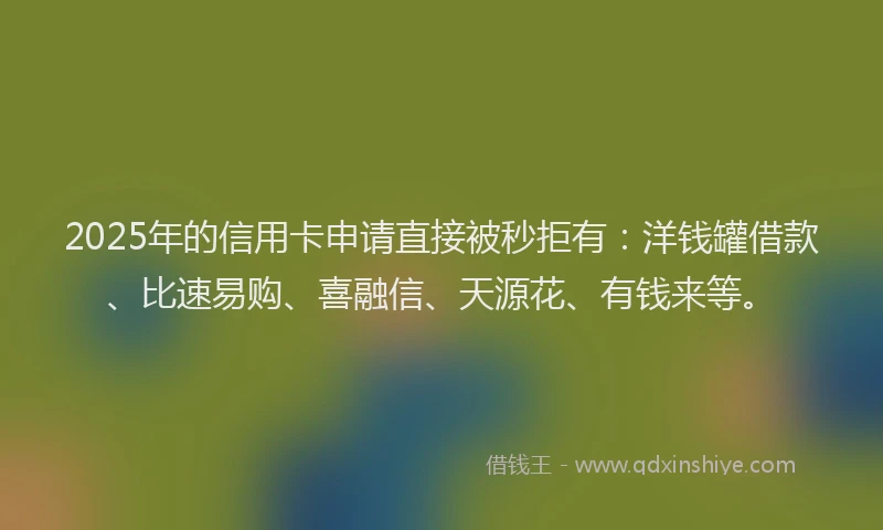2025年的信用卡申请直接被秒拒有：洋钱罐借款、比速易购、喜融信、天源花、有钱来等。