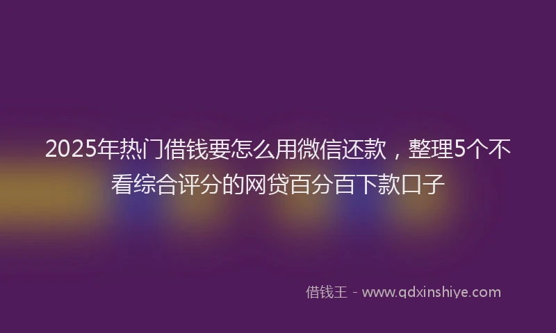 2025年热门借钱要怎么用微信还款，整理5个不看综合评分的网贷百分百下款口子