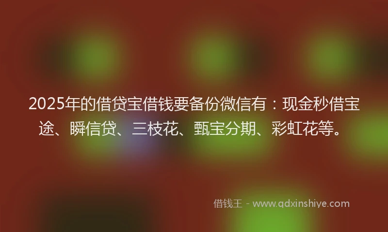 2025年的借贷宝借钱要备份微信有：现金秒借宝途、瞬信贷、三枝花、甄宝分期、彩虹花等。