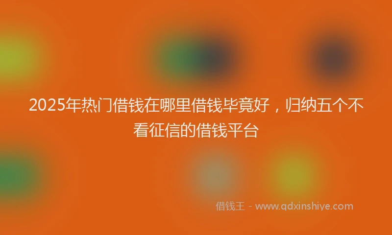 2025年热门借钱在哪里借钱毕竟好，归纳五个不看征信的借钱平台