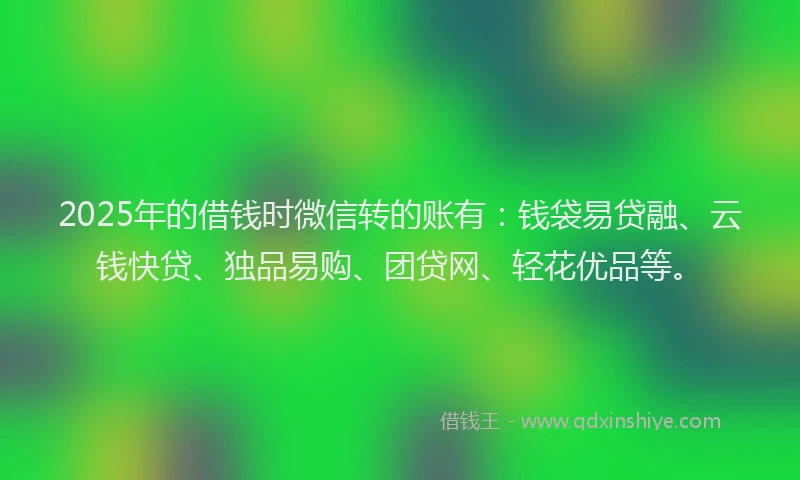 2025年的借钱时微信转的账有：钱袋易贷融、云钱快贷、独品易购、团贷网、轻花优品等。