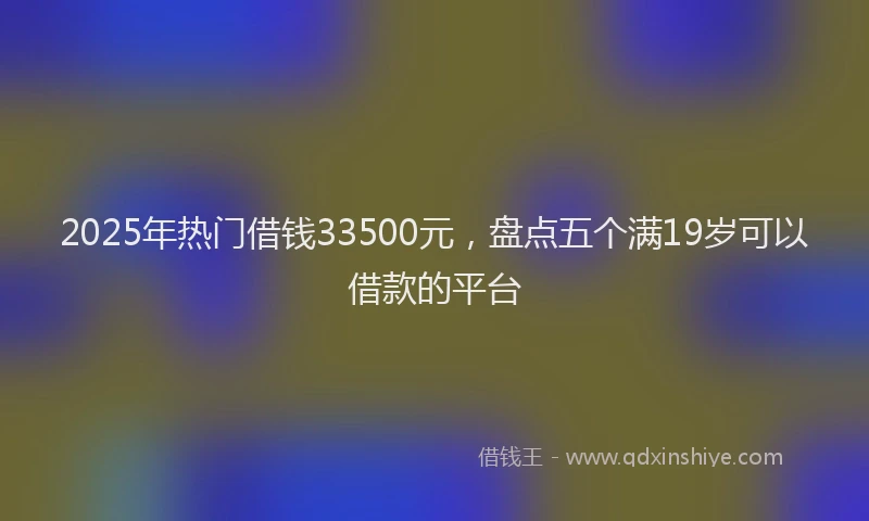 2025年热门借钱33500元，盘点五个满19岁可以借款的平台