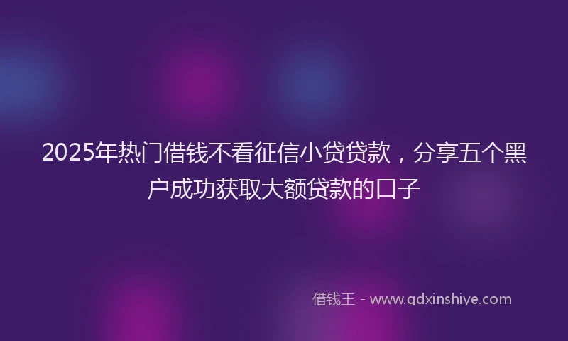 2025年热门借钱不看征信小贷贷款，分享五个黑户成功获取大额贷款的口子