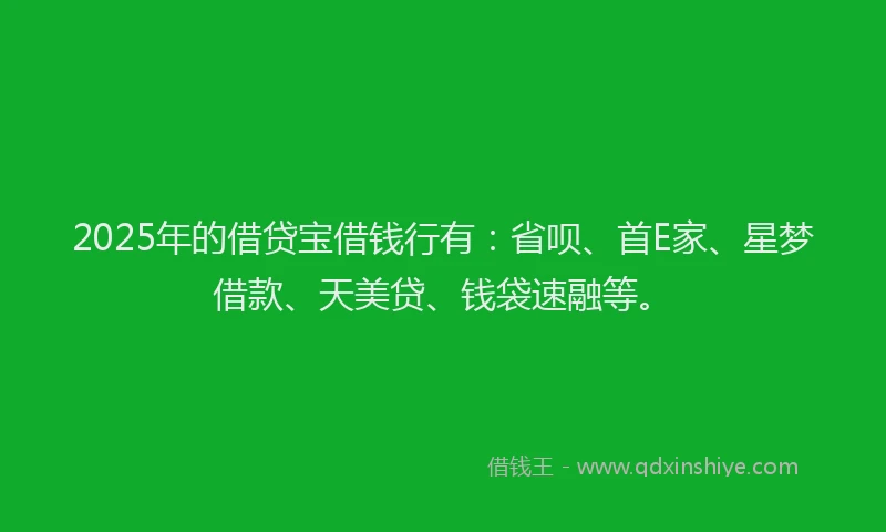 2025年的借贷宝借钱行有：省呗、首E家、星梦借款、天美贷、钱袋速融等。