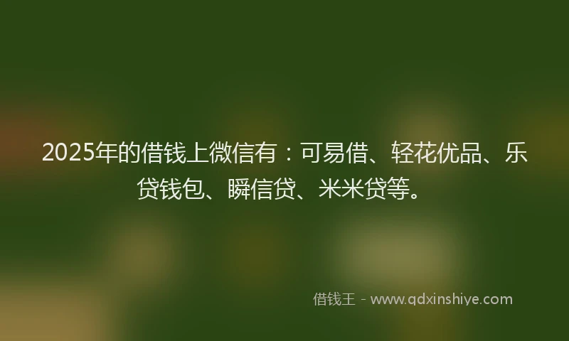 2025年的借钱上微信有：可易借、轻花优品、乐贷钱包、瞬信贷、米米贷等。