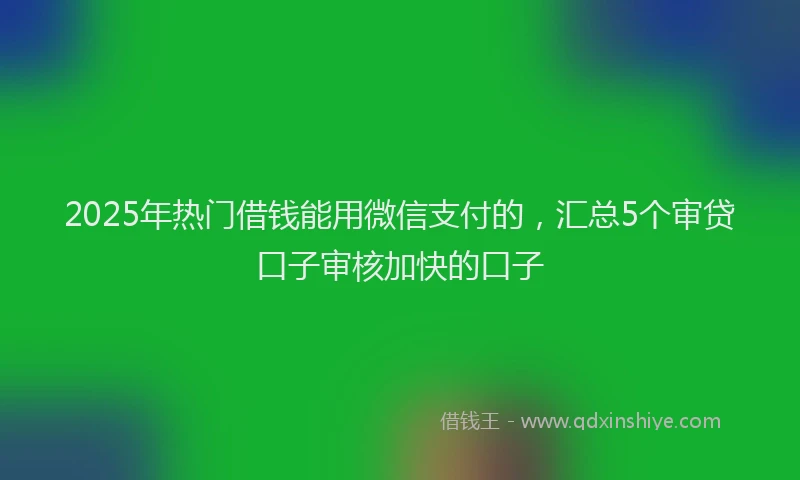 2025年热门借钱能用微信支付的，汇总5个审贷口子审核加快的口子