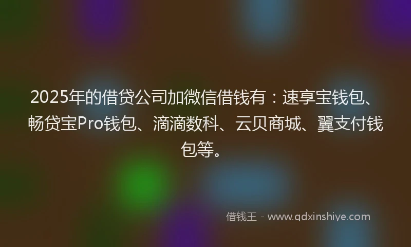 2025年的借贷公司加微信借钱有：速享宝钱包、畅贷宝Pro钱包、滴滴数科、云贝商城、翼支付钱包等。