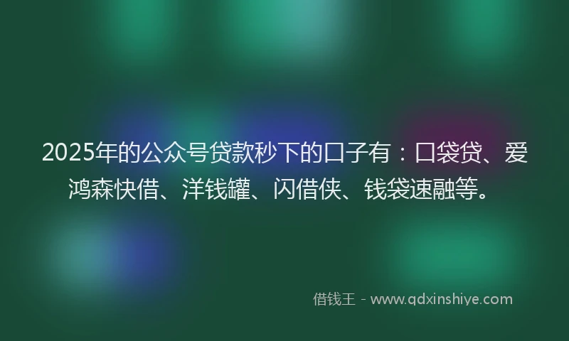 2025年的公众号贷款秒下的口子有：口袋贷、爱鸿森快借、洋钱罐、闪借侠、钱袋速融等。