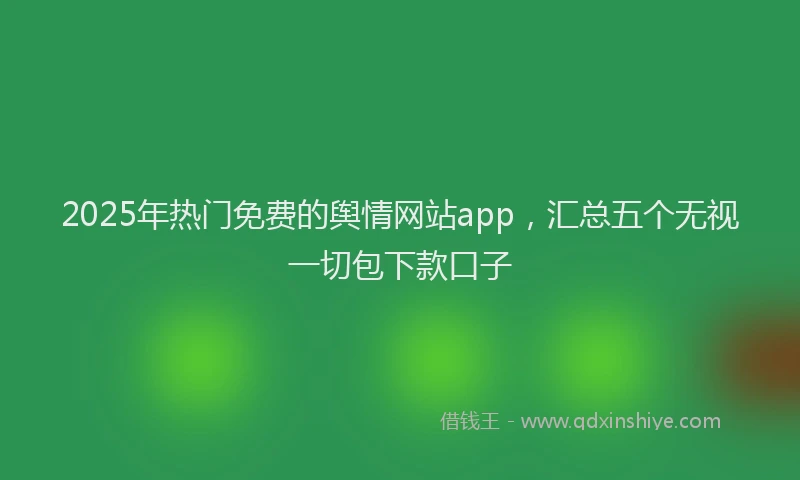 2025年热门免费的舆情网站app，汇总五个无视一切包下款口子