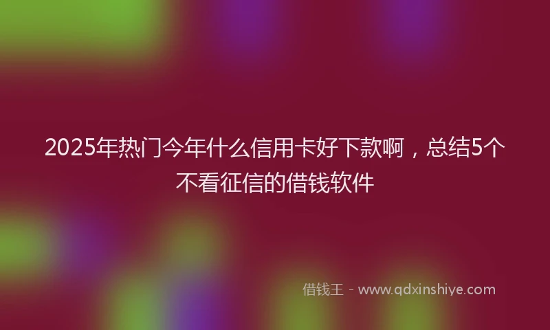 2025年热门今年什么信用卡好下款啊，总结5个不看征信的借钱软件