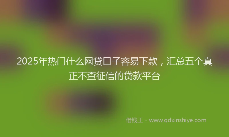 2025年热门什么网贷口子容易下款，汇总五个真正不查征信的贷款平台