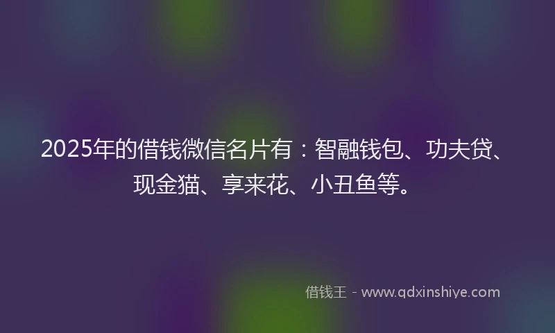 2025年的借钱微信名片有：智融钱包、功夫贷、现金猫、享来花、小丑鱼等。