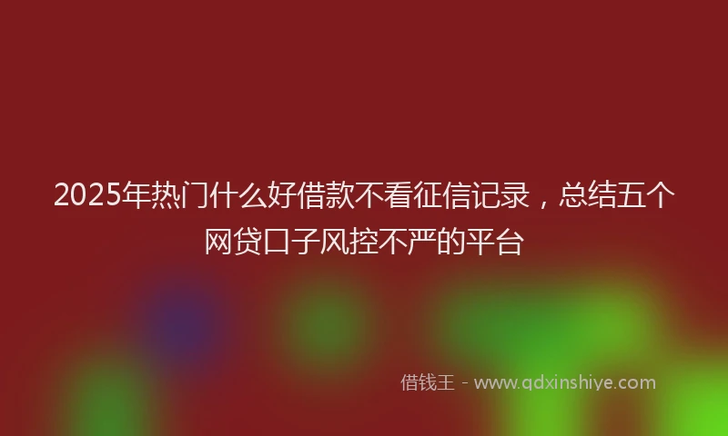 2025年热门什么好借款不看征信记录，总结五个网贷口子风控不严的平台