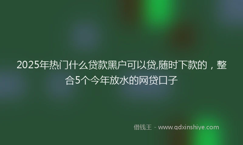 2025年热门什么贷款黑户可以贷,随时下款的，整合5个今年放水的网贷口子