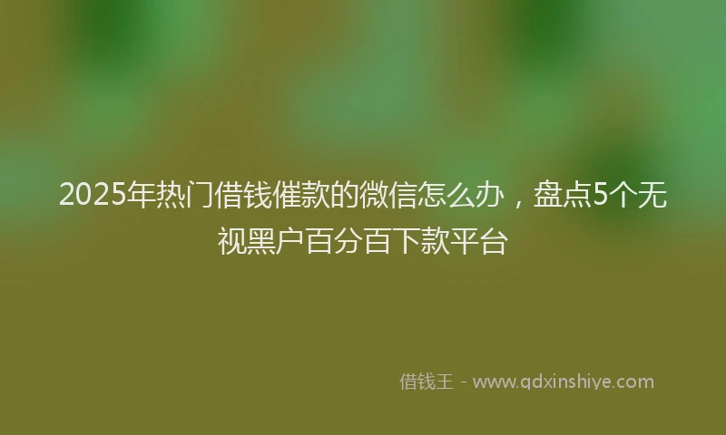 2025年热门借钱催款的微信怎么办，盘点5个无视黑户百分百下款平台