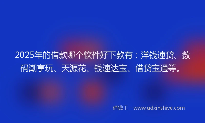 2025年的借款哪个软件好下款有：洋钱速贷、数码潮享玩、天源花、钱速达宝、借贷宝通等。