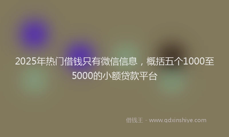 2025年热门借钱只有微信信息，概括五个1000至5000的小额贷款平台