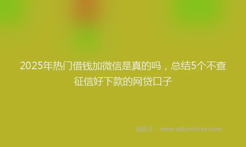 2025年热门借钱加微信是真的吗，总结5个不查征信好下款的网贷口子