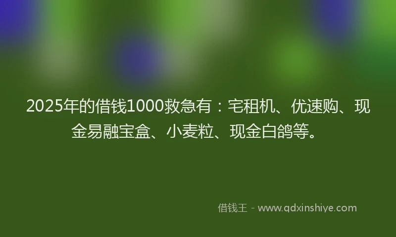 2025年的借钱1000救急有：宅租机、优速购、现金易融宝盒、小麦粒、现金白鸽等。