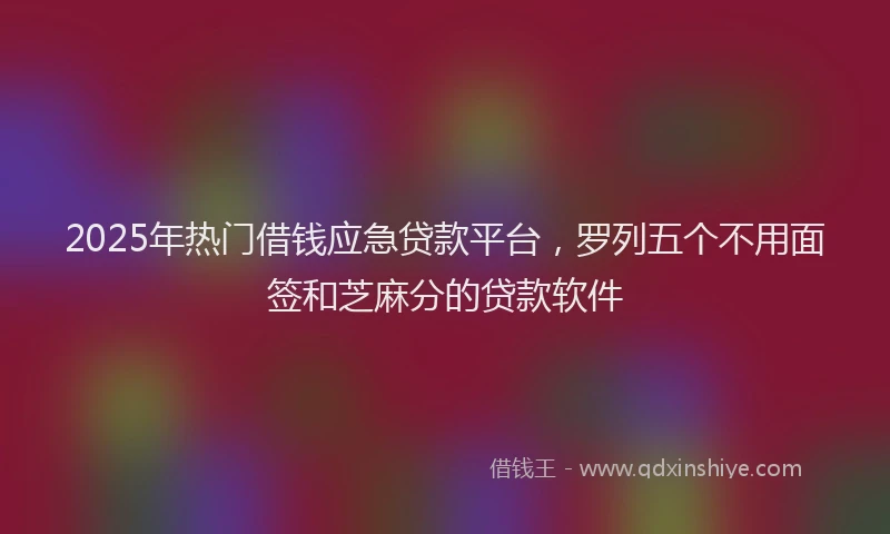 2025年热门借钱应急贷款平台，罗列五个不用面签和芝麻分的贷款软件