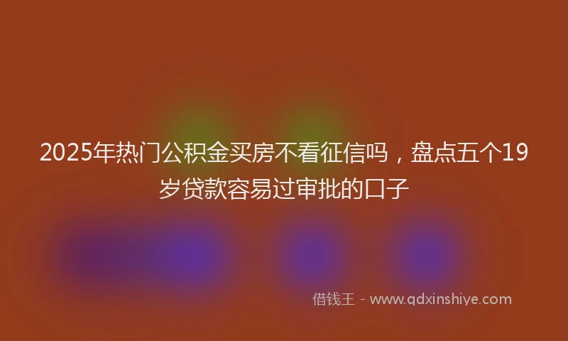 2025年热门公积金买房不看征信吗，盘点五个19岁贷款容易过审批的口子