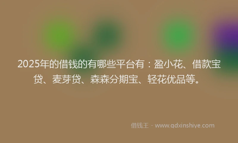 2025年的借钱的有哪些平台有：盈小花、借款宝贷、麦芽贷、森森分期宝、轻花优品等。