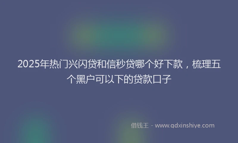 2025年热门兴闪贷和信秒贷哪个好下款，梳理五个黑户可以下的贷款口子