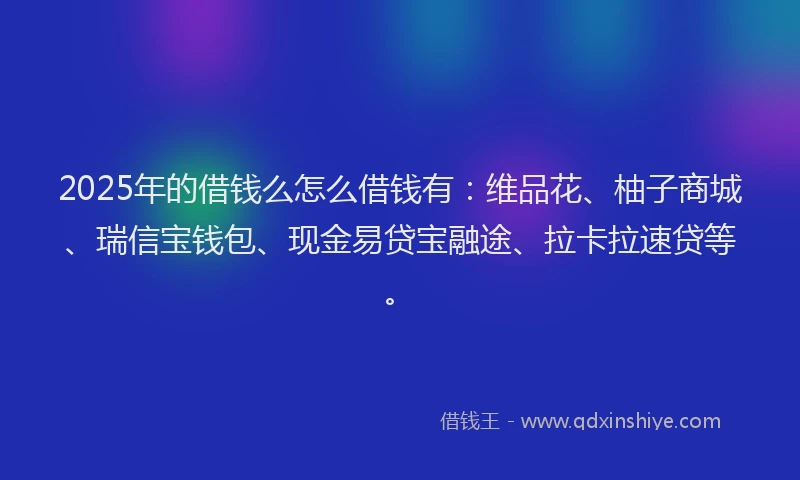 2025年的借钱么怎么借钱有：维品花、柚子商城、瑞信宝钱包、现金易贷宝融途、拉卡拉速贷等。