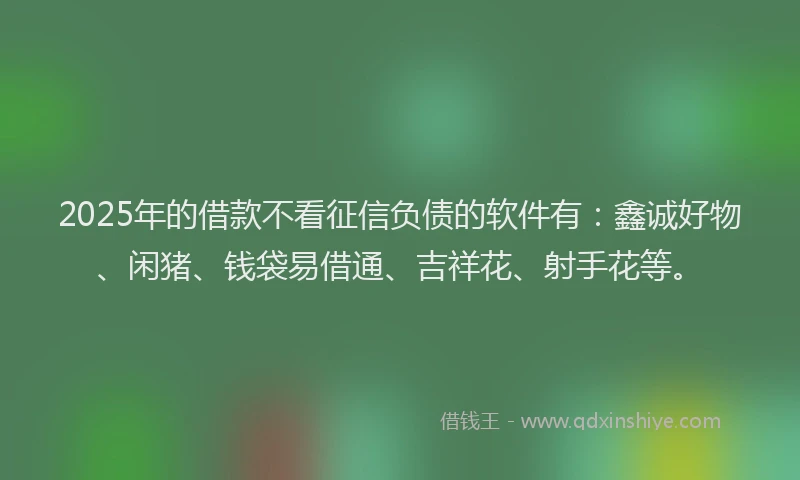 2025年的借款不看征信负债的软件有：鑫诚好物、闲猪、钱袋易借通、吉祥花、射手花等。