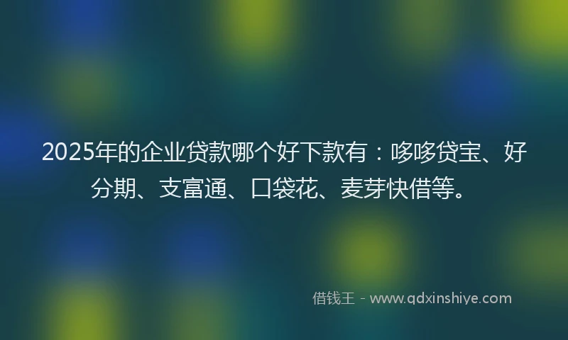 2025年的企业贷款哪个好下款有：哆哆贷宝、好分期、支富通、口袋花、麦芽快借等。
