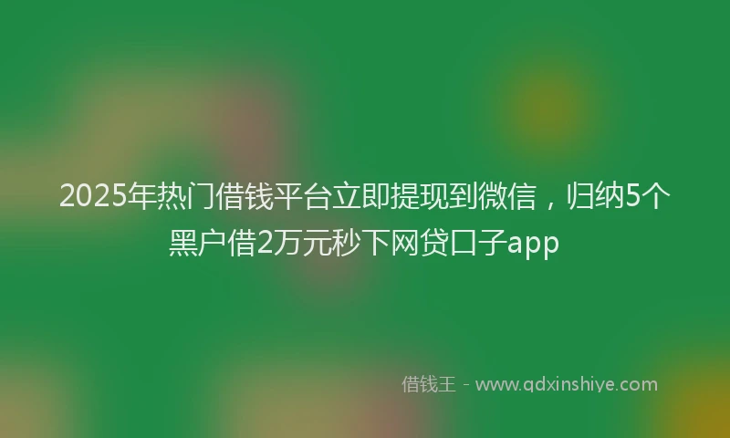2025年热门借钱平台立即提现到微信，归纳5个黑户借2万元秒下网贷口子app