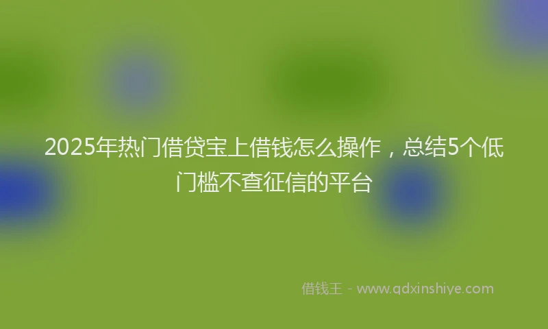 2025年热门借贷宝上借钱怎么操作，总结5个低门槛不查征信的平台