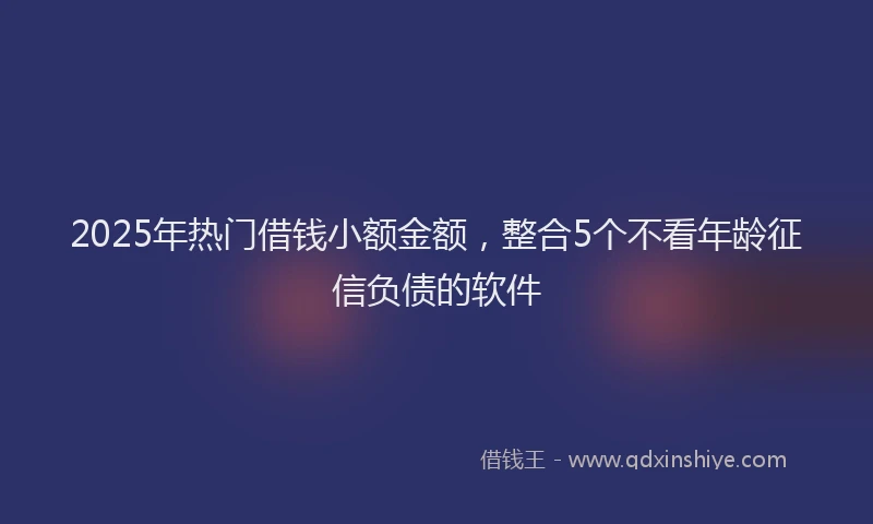 2025年热门借钱小额金额，整合5个不看年龄征信负债的软件