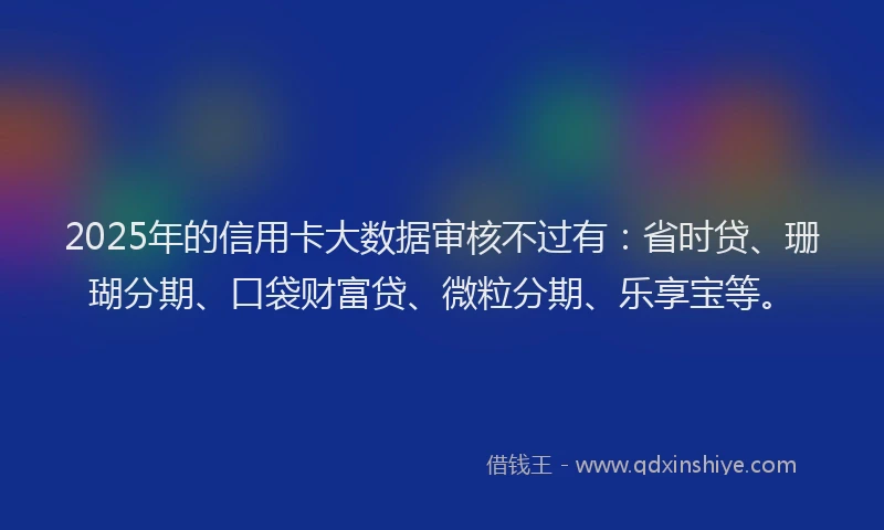 2025年的信用卡大数据审核不过有：省时贷、珊瑚分期、口袋财富贷、微粒分期、乐享宝等。