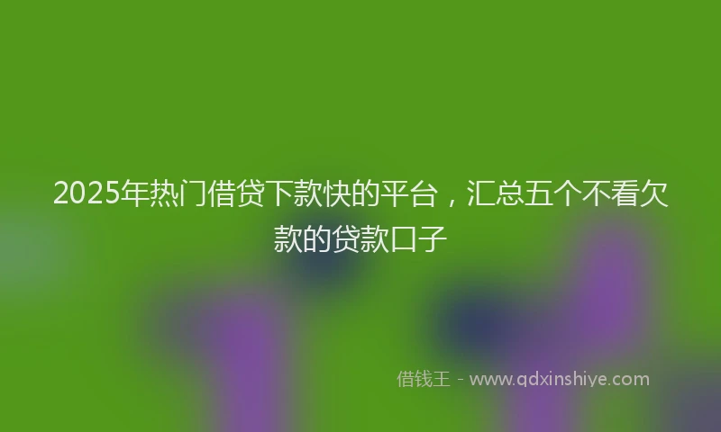 2025年热门借贷下款快的平台，汇总五个不看欠款的贷款口子