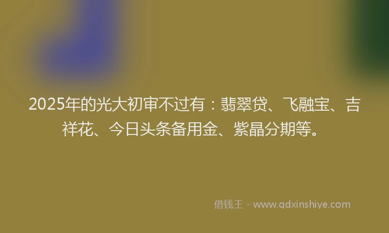 2025年的光大初审不过有：翡翠贷、飞融宝、吉祥花、今日头条备用金、紫晶分期等。