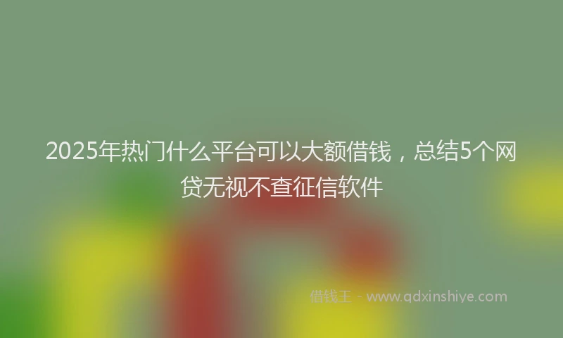 2025年热门什么平台可以大额借钱，总结5个网贷无视不查征信软件