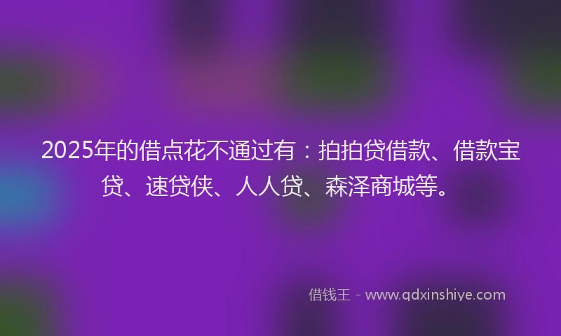 2025年的借点花不通过有：拍拍贷借款、借款宝贷、速贷侠、人人贷、森泽商城等。