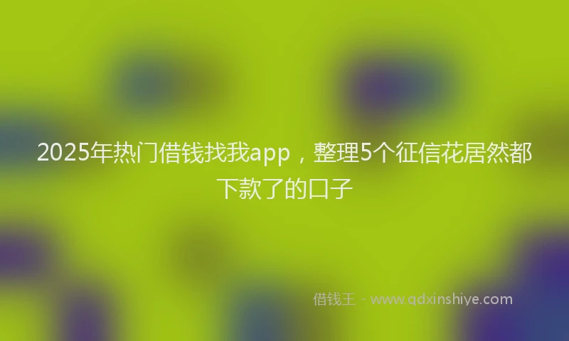 2025年热门借钱找我app，整理5个征信花居然都下款了的口子