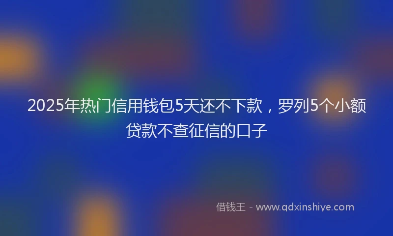2025年热门信用钱包5天还不下款，罗列5个小额贷款不查征信的口子