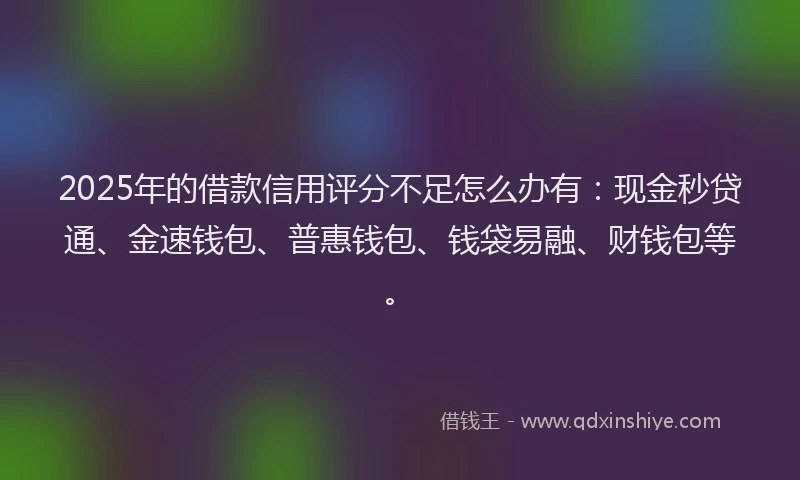 2025年的借款信用评分不足怎么办有：现金秒贷通、金速钱包、普惠钱包、钱袋易融、财钱包等。